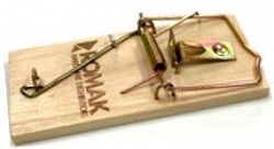 ***MOUSE TRAP TIMBER 100mm x 45mm